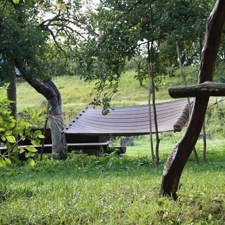 Садиба Під Гострою Zhdenijevo Eksteriør billede